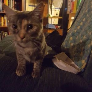 Meet your Posher, Amanda